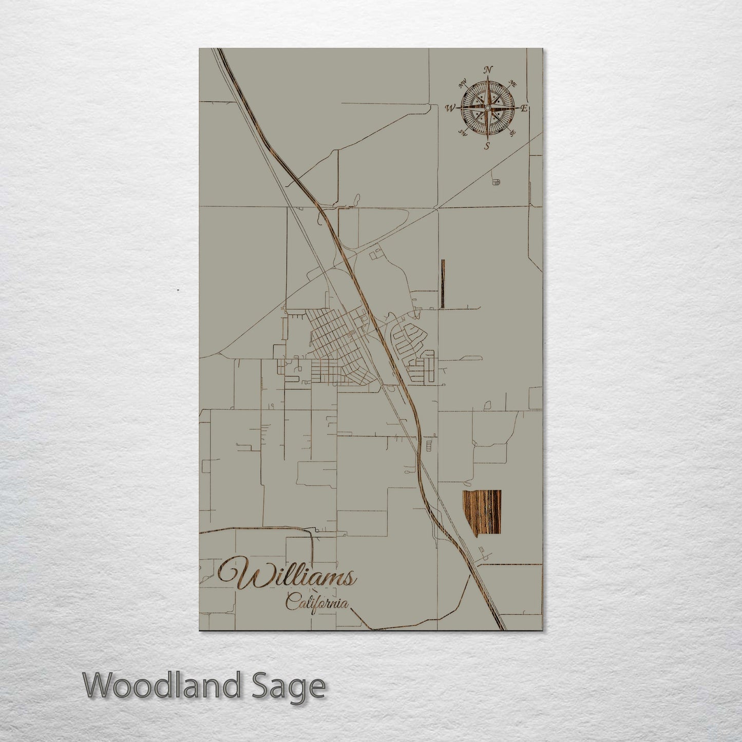 Williams, California Street Map