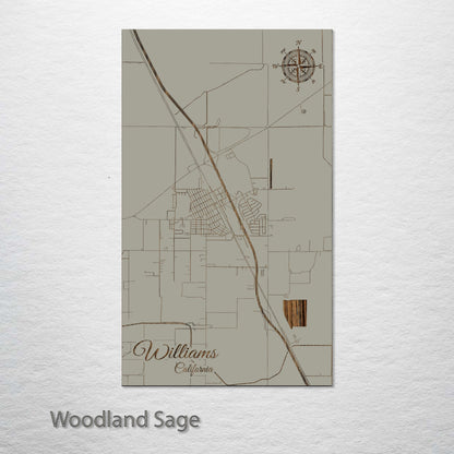 Williams, California Street Map