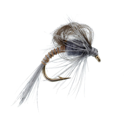 3 Pack CDC Loop Wing Adams Emerger Fly - Hook Size 12