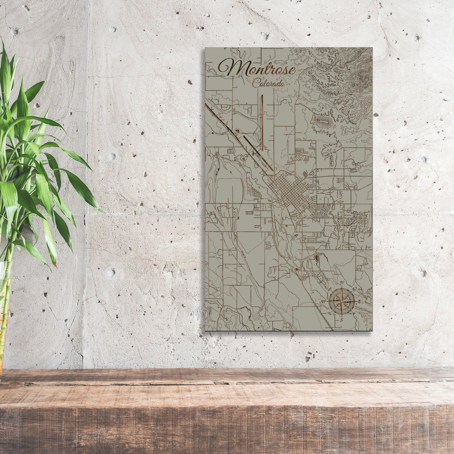 Montrose, Colorado Street Map