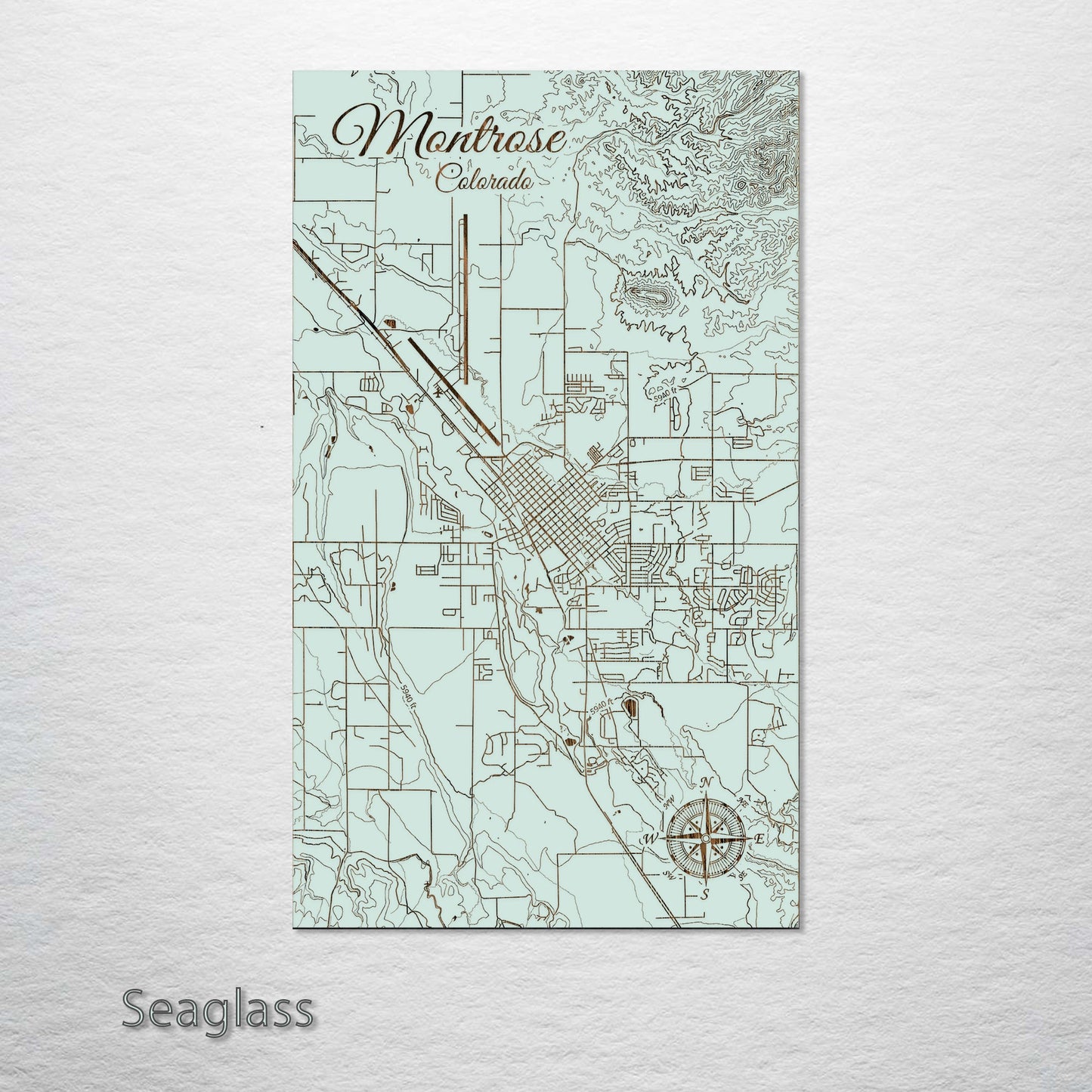 Montrose, Colorado Street Map