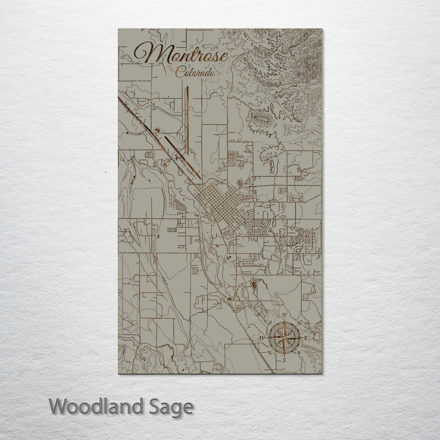 Montrose, Colorado Street Map