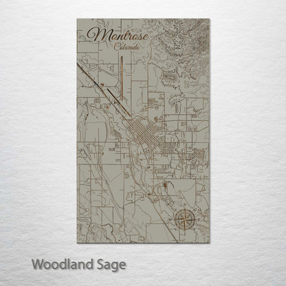 Montrose, Colorado Street Map