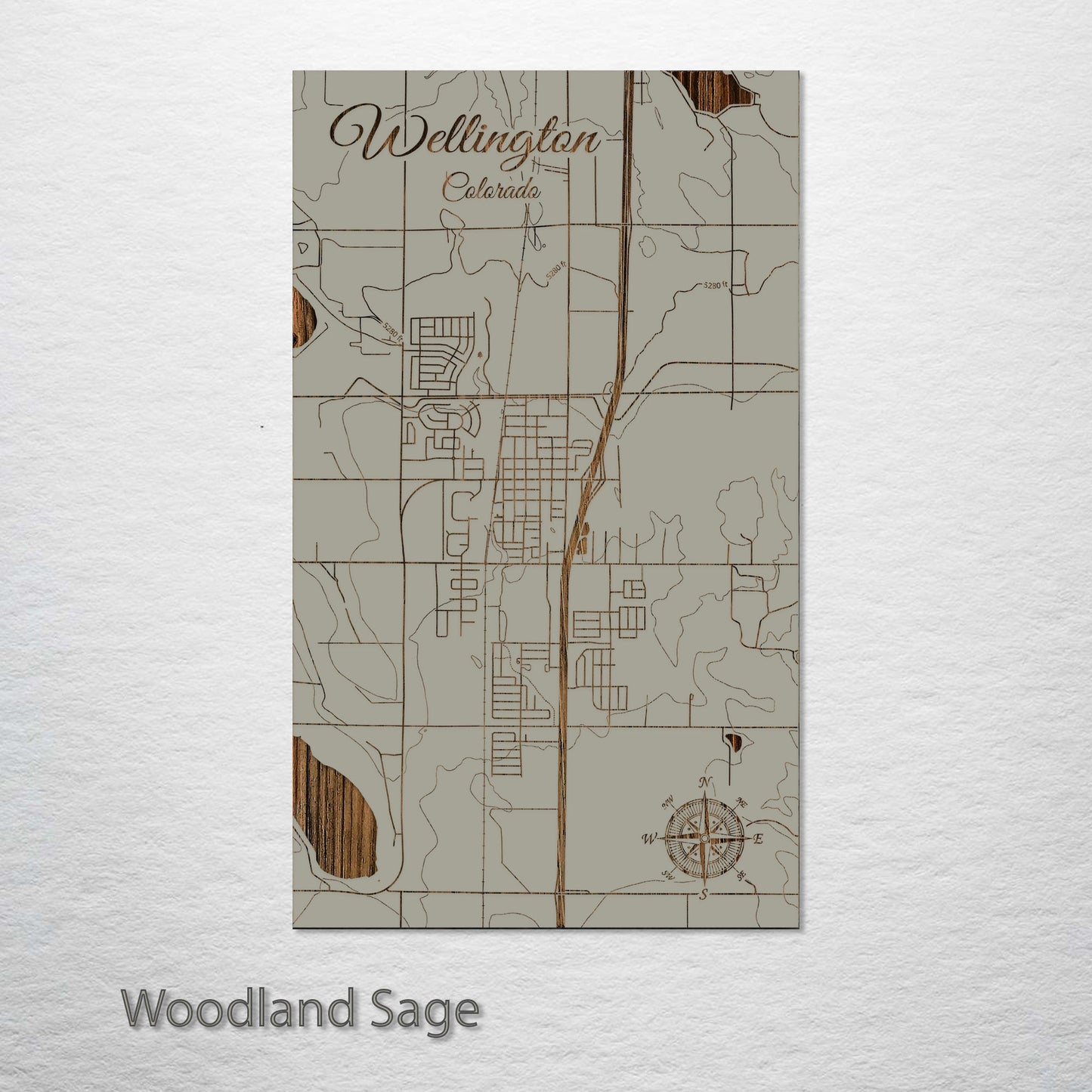 Wellington, Colorado Street Map