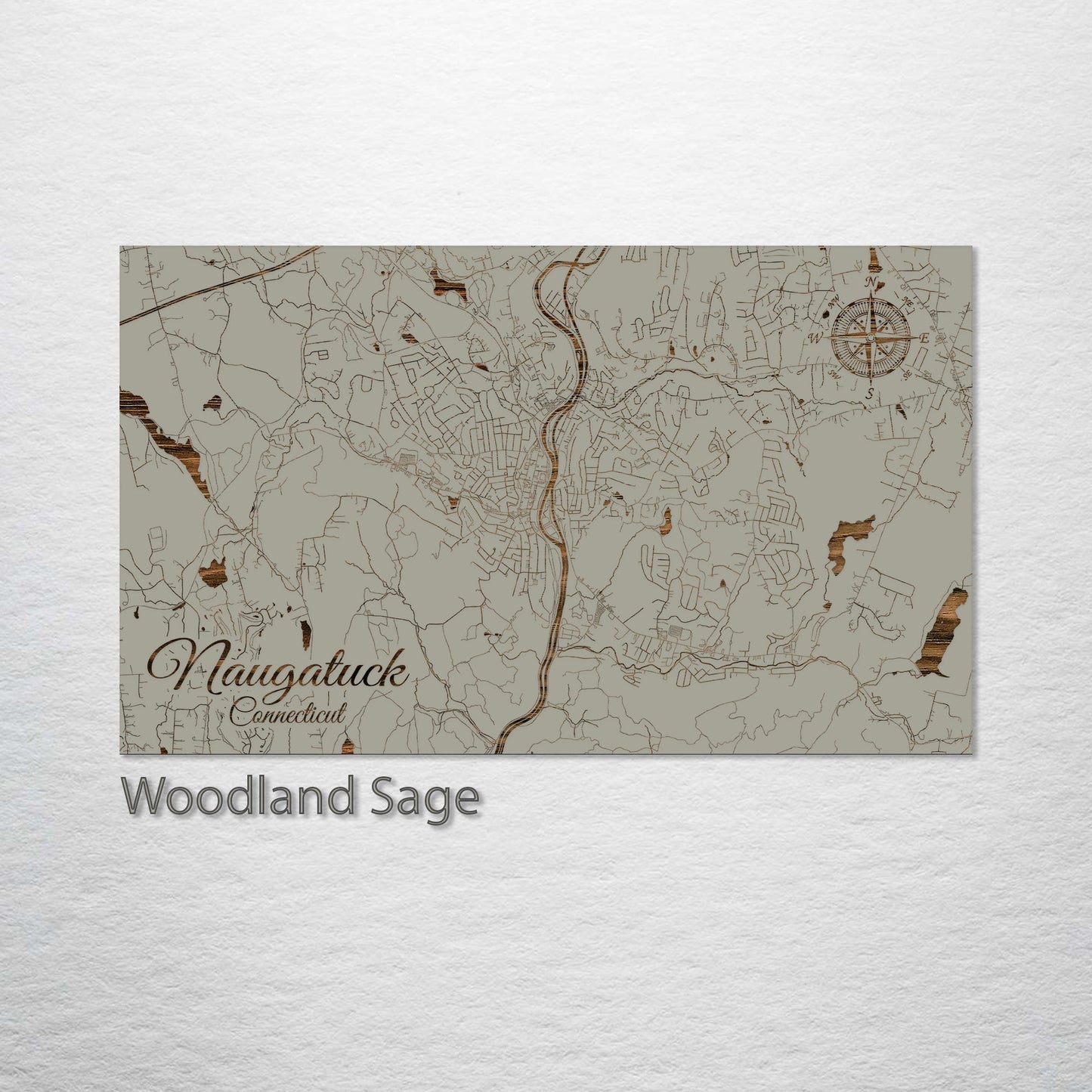 Naugatuck, Connecticut Street Map