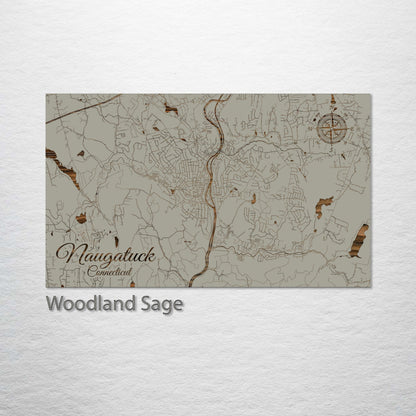 Naugatuck, Connecticut Street Map