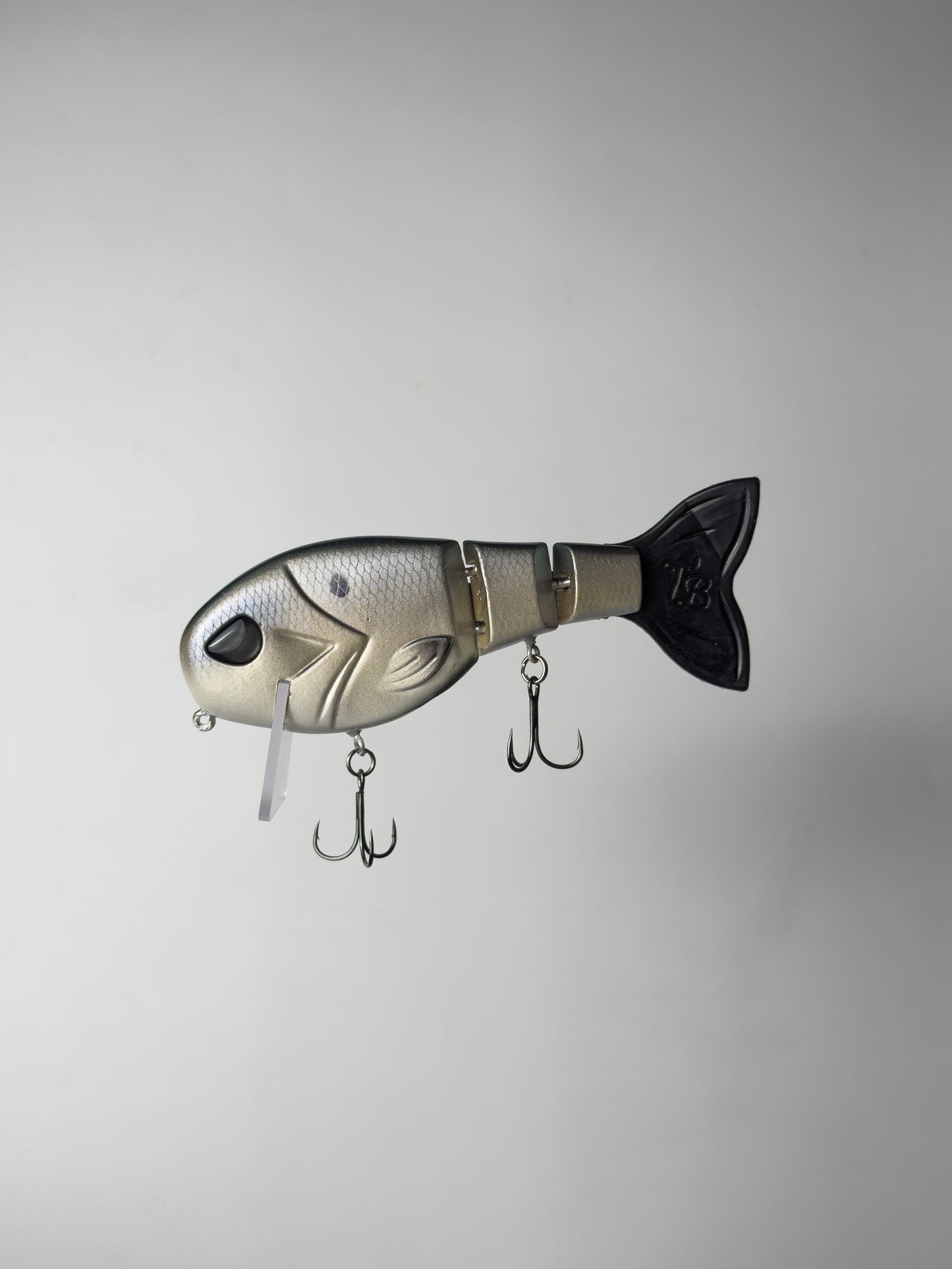 "CW Gizz" WakeWalker