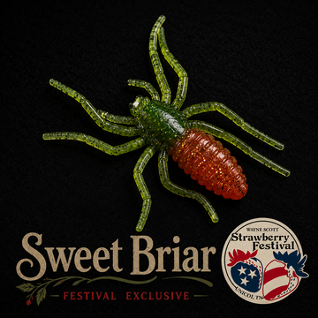 LIMITED TIME  Strawberry 1" Micro Spider Bait "The Writing Spider"