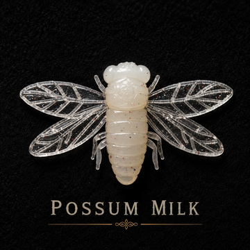 Sycamore Singer 1.5"x 2" |  1/8 oz | Floating Cicada | 3 Per Pack