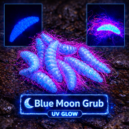 1" Hairy Waxworm "The Fuzz Grub"