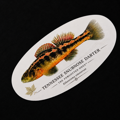 The Forgotten Ones™ — Appalachian Native Species Decals