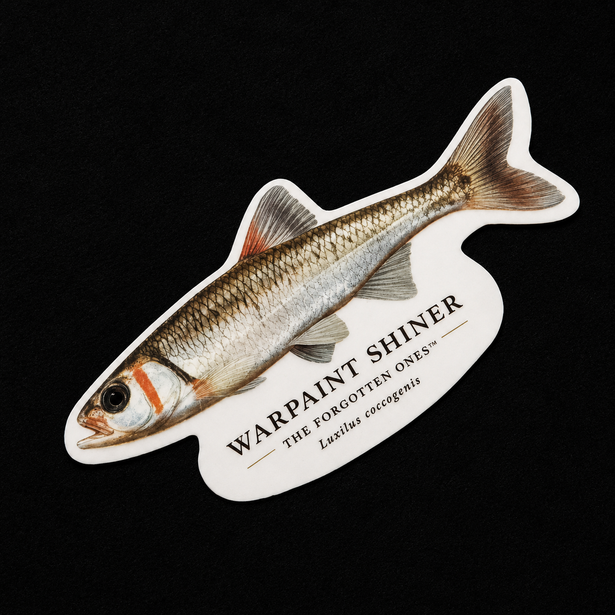 The Forgotten Ones™ — Appalachian Native Species Decals