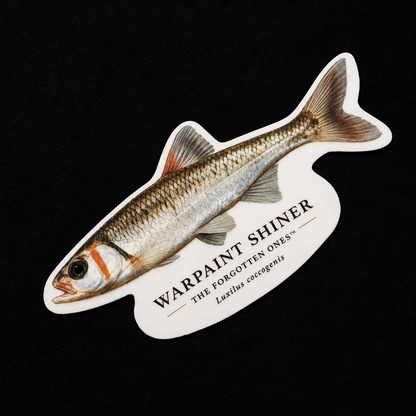 The Forgotten Ones™ — Appalachian Native Species Decals