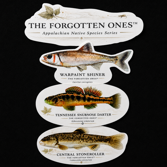 The Forgotten Ones™ — Appalachian Native Species Decals