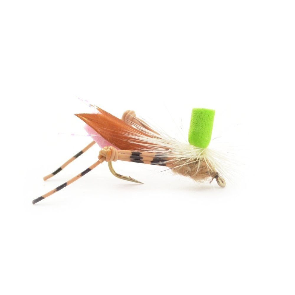 Trout Fly Assortment - Premium Terrestrial Flies - 12 Essential Hoppers, Ants and Beetles with Fly Box