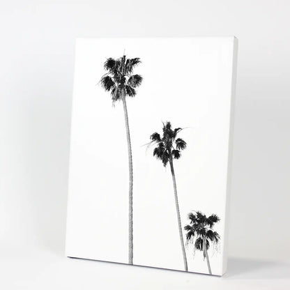 Tropical Black White Palm Trees Wall Decor