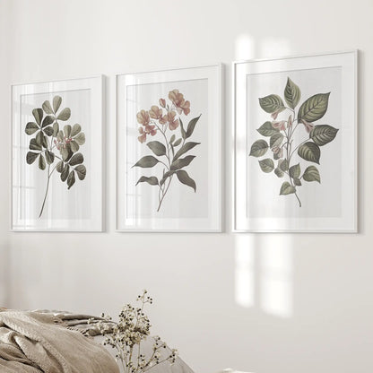 Rustic Botanical Wall Art. Vintage Flowers Prints