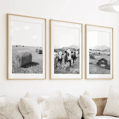 Black White Rustic Photo. Wall Art Set. Cows, Barn, Haystack