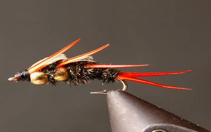 DB Peacock Stonefly Nymphs
