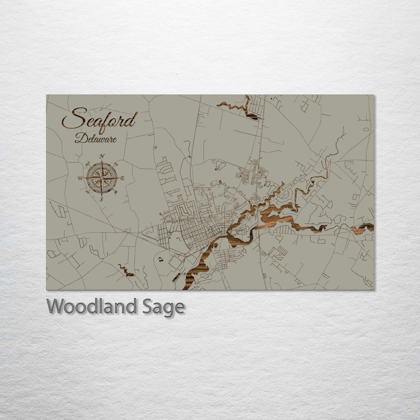 Seaford, Delaware Street Map