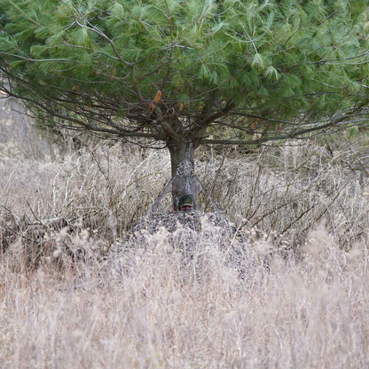 Hunting Blind - Mossy Oak Country Roots 3D Leafy