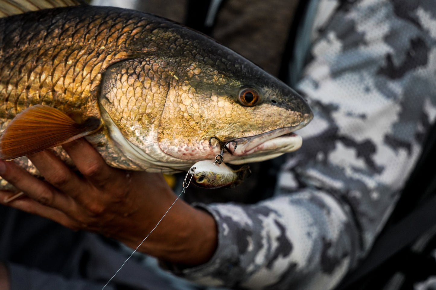 FREE Speed Clip Sample Pack (1 Per Order)