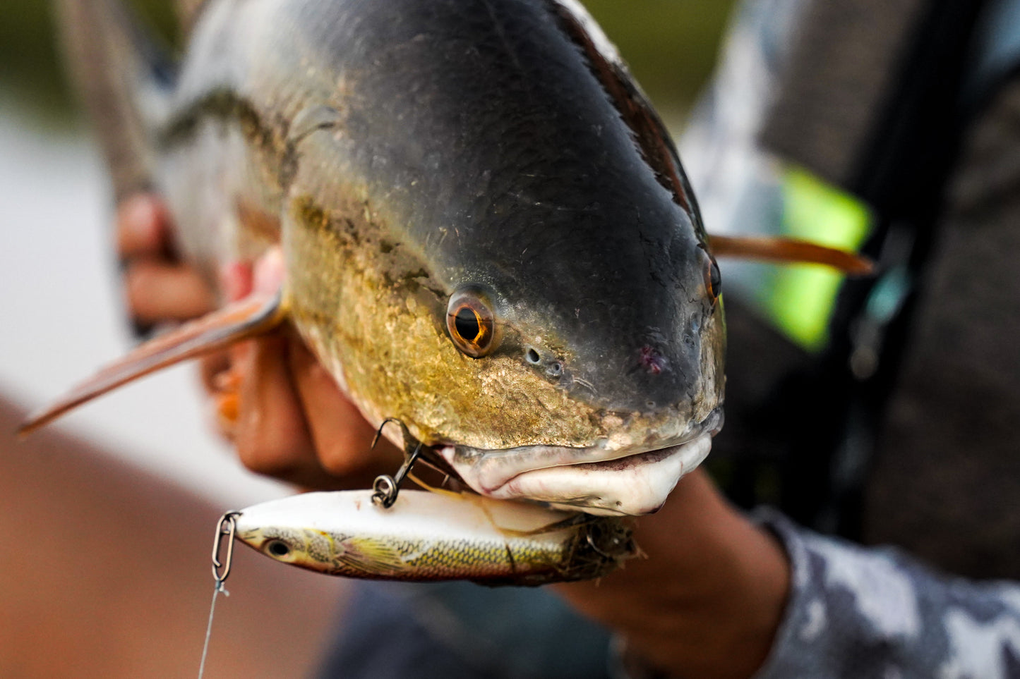 FREE Speed Clip Sample Pack (1 Per Order)