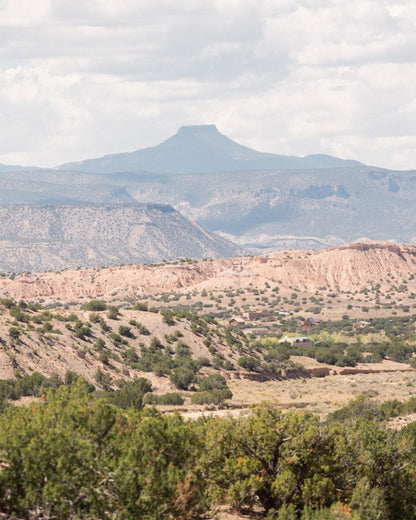 Desert Cedar Bar Soap 3-Pack