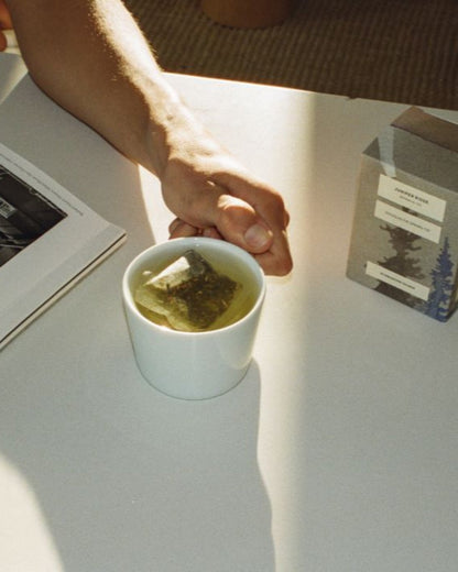 Douglas Fir Spring Tip Botanical Tea 3-Pack