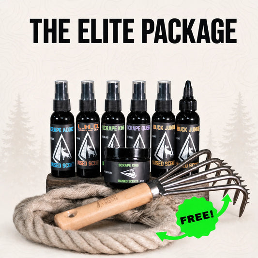 The Elite Package | All Scents All Seasons