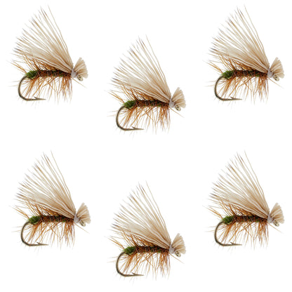 Olive Elk Hair Caddis Classic Trout Dry Fly - Set of 6 Flies Size 16
