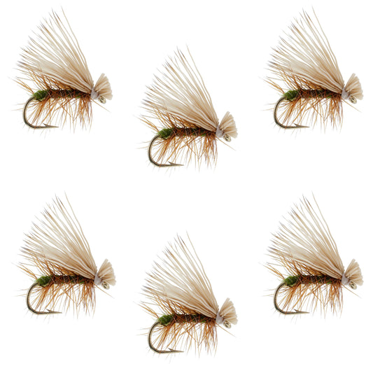 Olive Elk Hair Caddis Classic Trout Dry Fly - Set of 6 Flies Size 12