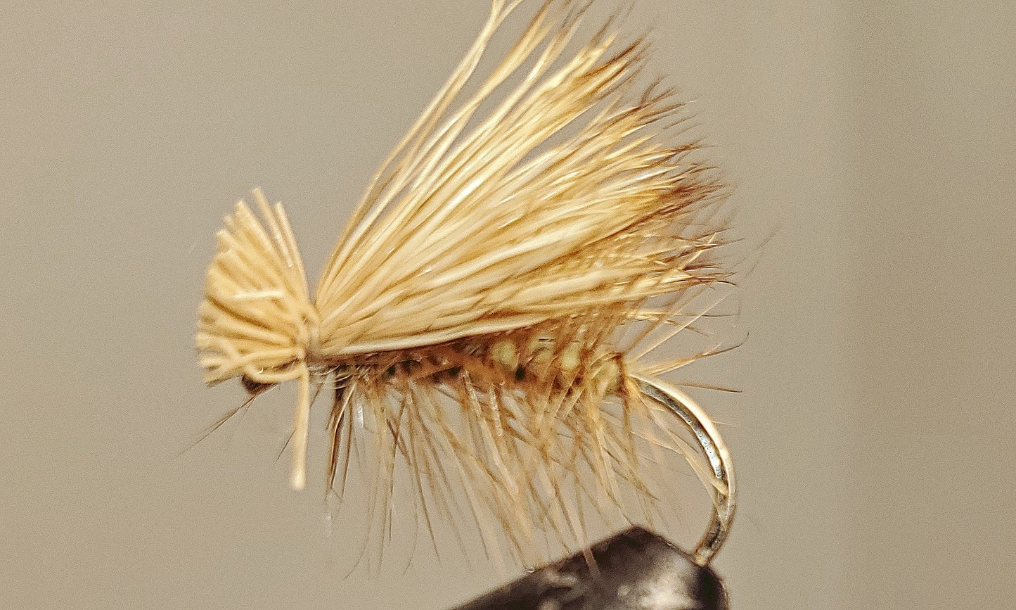 Elk Hair Caddis - 8 Colors!