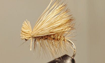 Elk Hair Caddis - 8 Colors!