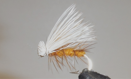 Elk Hair Caddis - 8 Colors!