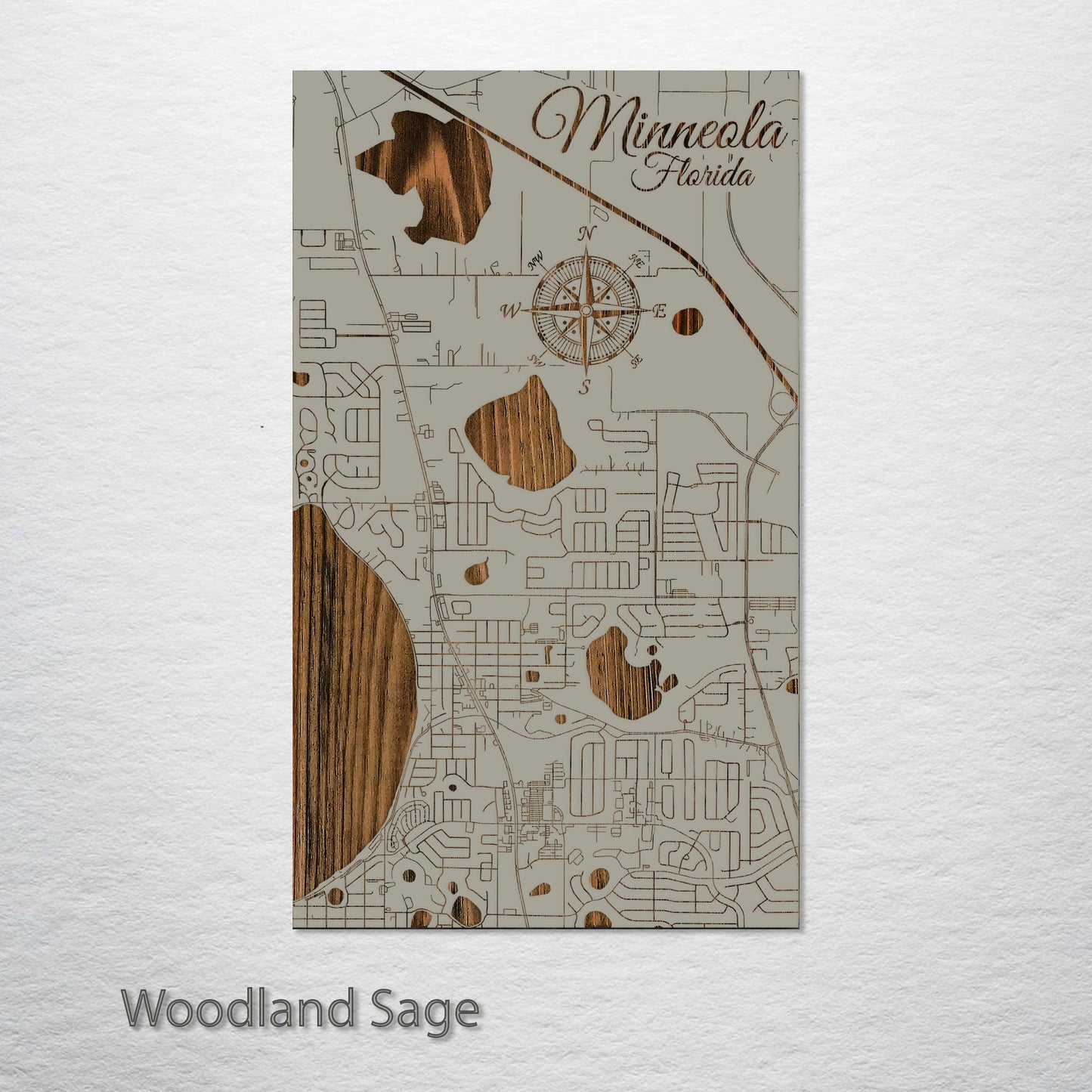 Minneola, Florida Street Map