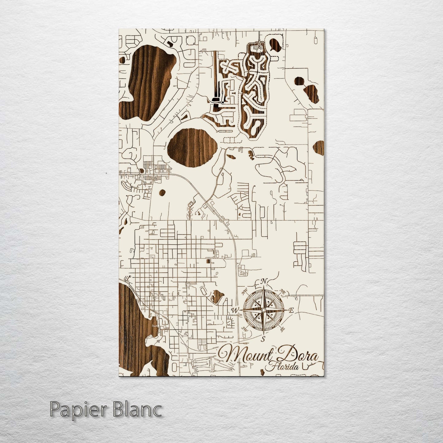 Mount Dora, Florida Street Map