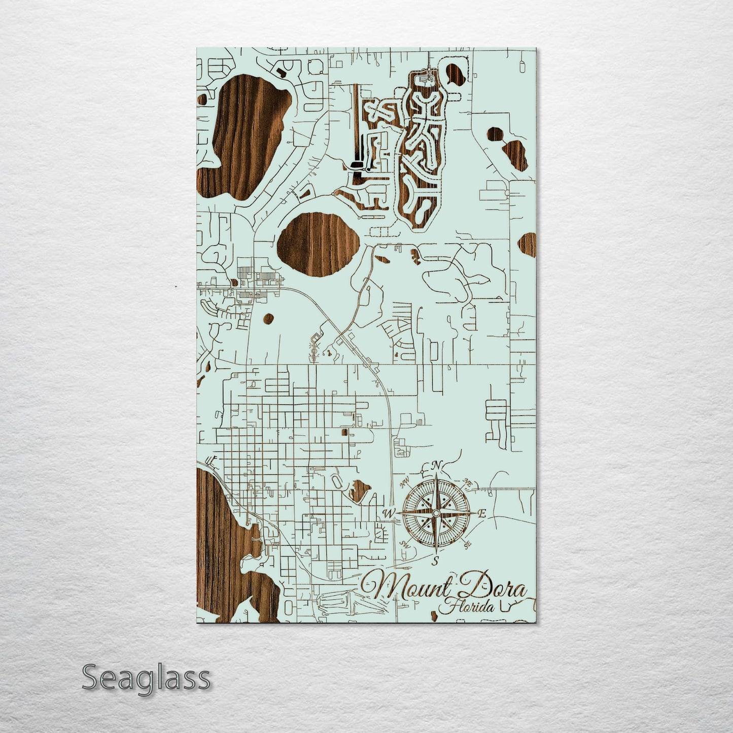 Mount Dora, Florida Street Map