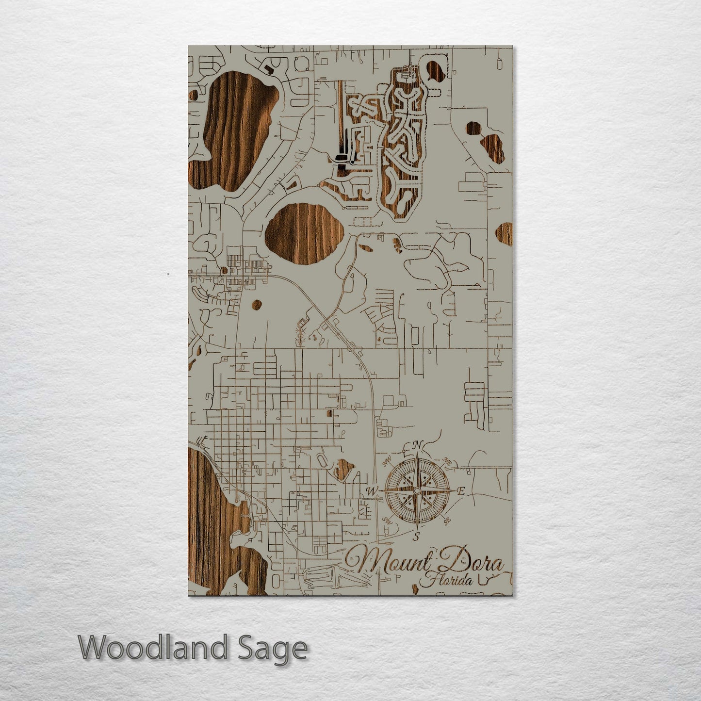 Mount Dora, Florida Street Map