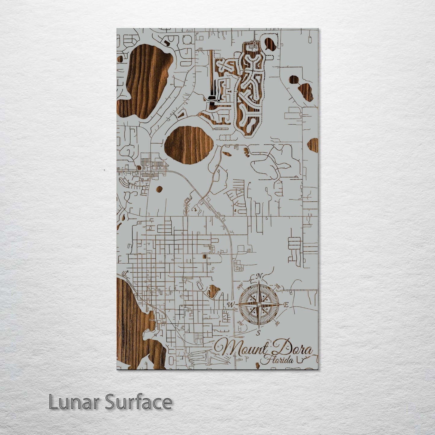 Mount Dora, Florida Street Map