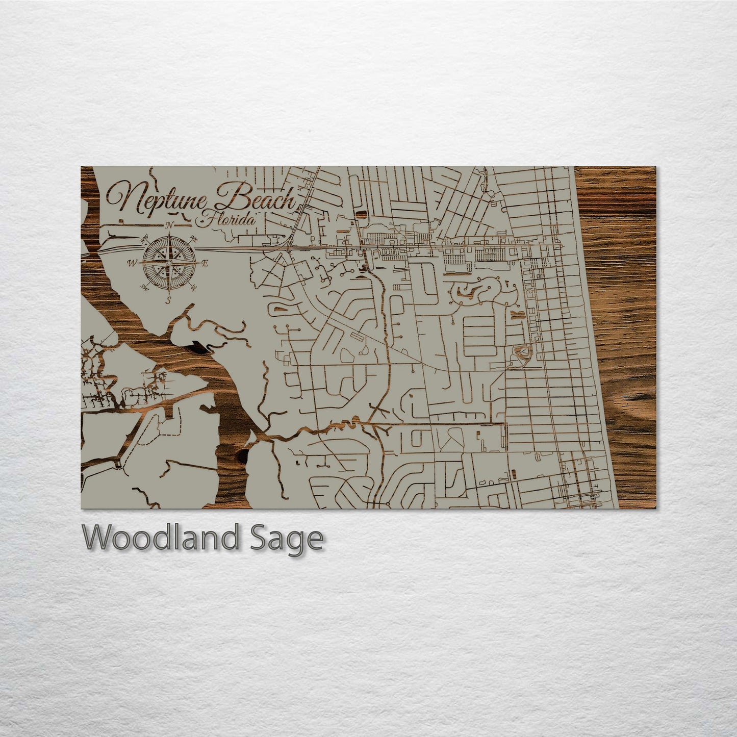 Neptune Beach, Florida Street Map