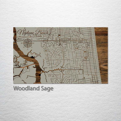 Neptune Beach, Florida Street Map