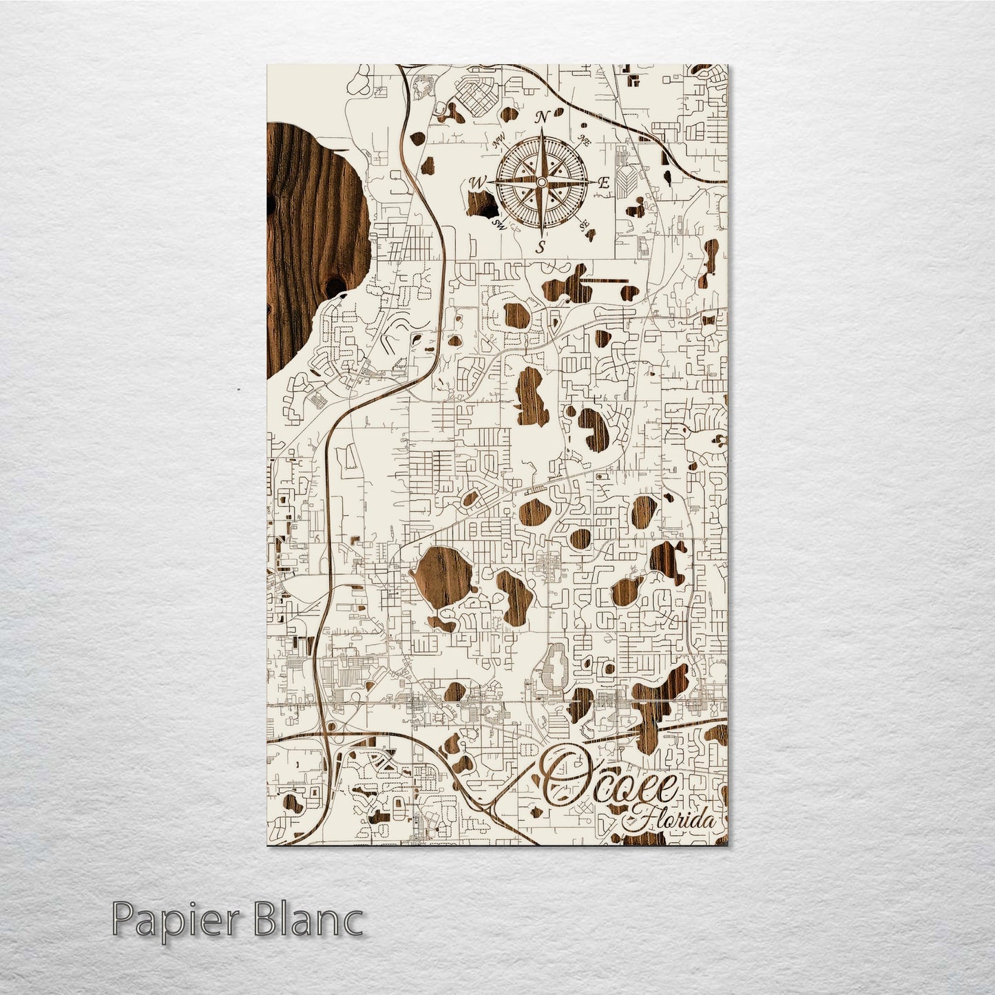 Ocoee, Florida Street Map