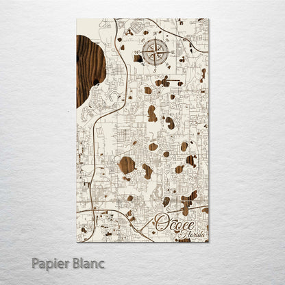 Ocoee, Florida Street Map