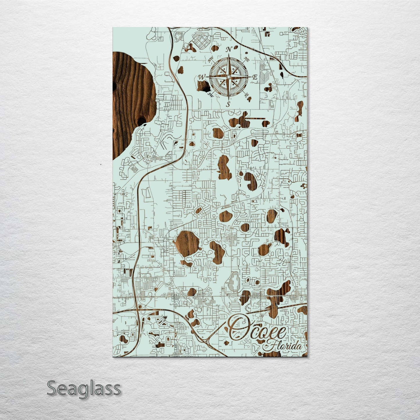 Ocoee, Florida Street Map