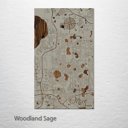 Ocoee, Florida Street Map