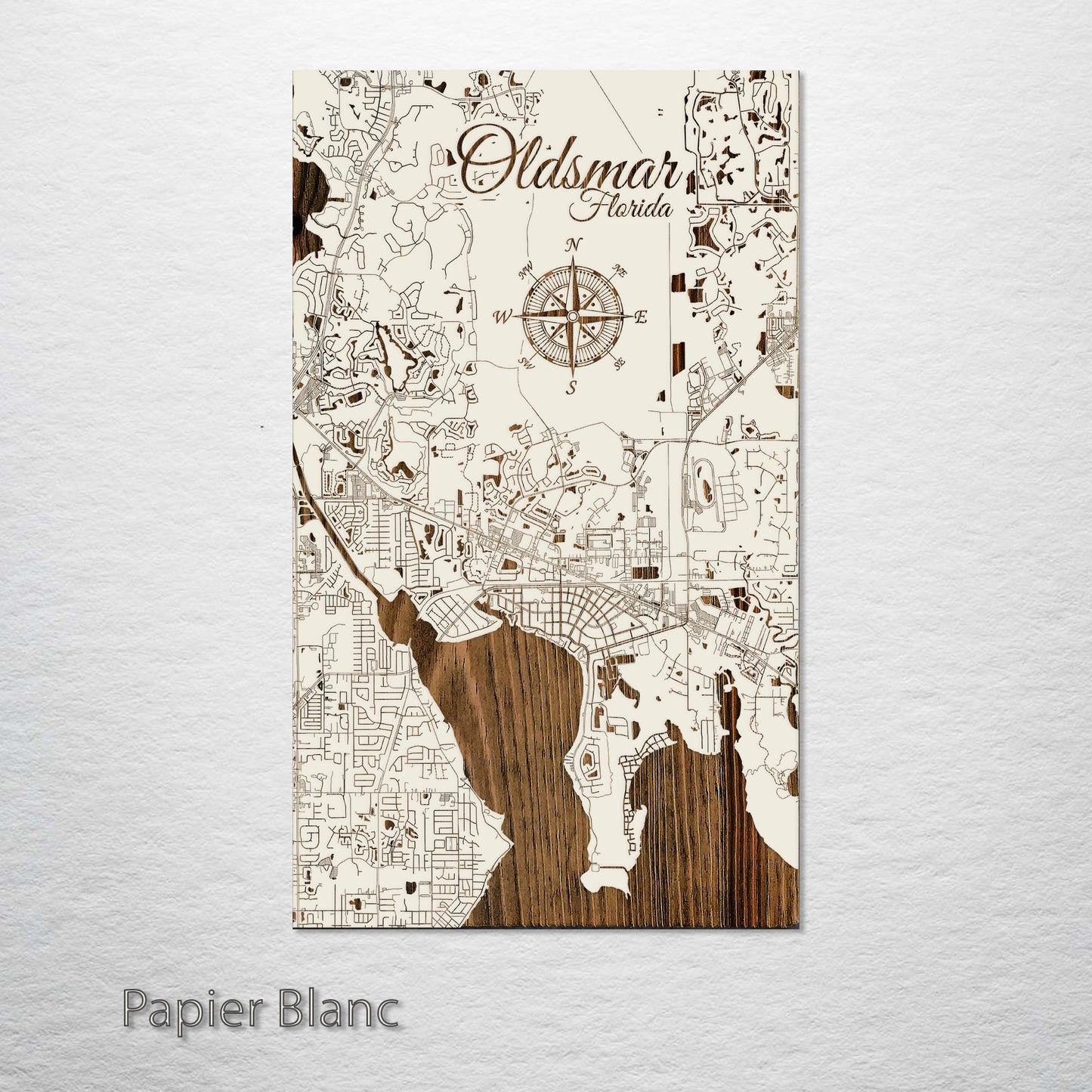 Oldsmar, Florida Street Map