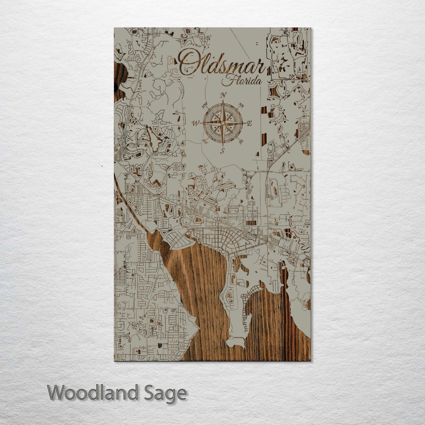 Oldsmar, Florida Street Map