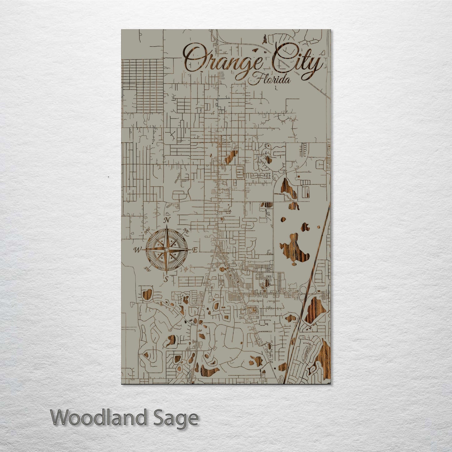 Orange City, Florida Street Map