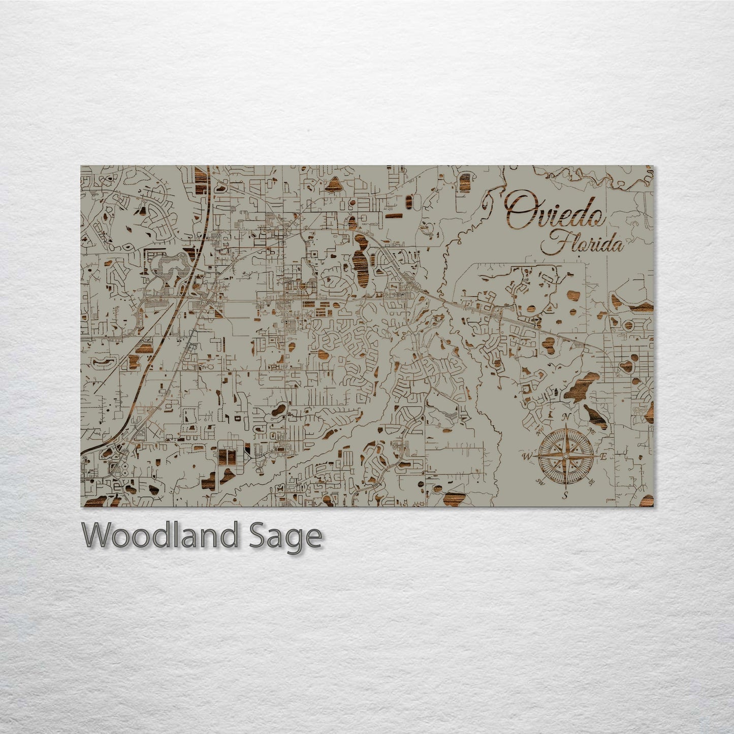 Oviedo, Florida Street Map